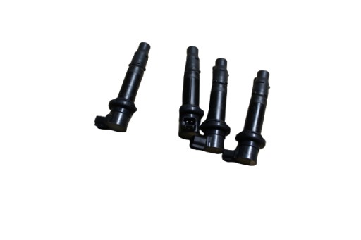 RN12.CEWKI - R1 rn12 04-06R котушка запалювання трубка котушка