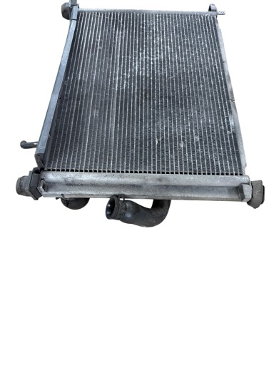 radiator fan RENAULT CLIO III 1.6 16V