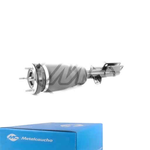 42903 - Передня пневматична стійка P BMW X5 E53 4.6 is