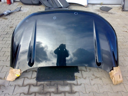 Ford edge mk2 2015 2018 колір капоту g1