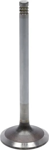 04283380 - Всмоктувальний клапан