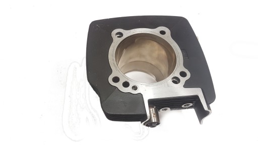 12531912A - DUCATI SCRAMBLER 1100 18 + ЦИЛІНДР