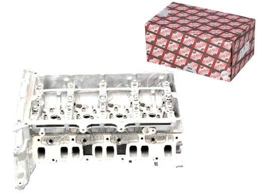 FO03ES - АШИКА ГОЛОВА