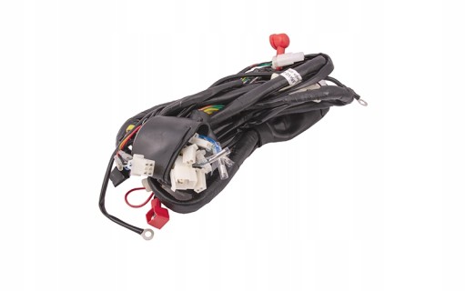 MOR.2.638 - Электропроводка для скутера Primo