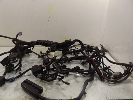 ACL18546 - Scenic iii 2.0dci автоматичний джгут двигуна