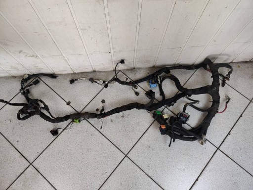 cablaggio przewodow Motore Chrysler Town and Country 5 2009 P04869593AH