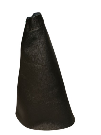 Sc1 - СИЛЬФОН RENAULT SCENIC И НАТУРАЛЬНАЯ КОЖА