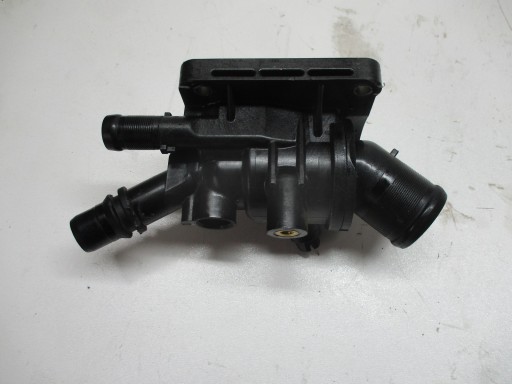 Scatola termostato RENAULT AUSTRAL 1,2TCE 110611151R