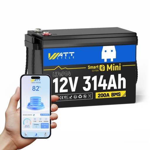Mini lifepo4 акумулятор 12v 314ah з bluetooth, легкий та ефективний для кемпера
