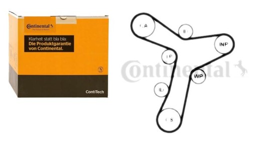 CT1229 - РЕМЕНЬ ГРМ VW 2.0 TDI GOLF VIII AUDI 2.0 TDI HYB