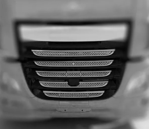 DAF XF 106 E6 НЕРЖАВІЮЧІ СТРІПИ Решітка