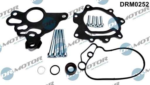 DRM0252 - КОМПЛЕКТ ДЛЯ РЕМОНТА ВАКУУМНОГО НАСОСА VAG