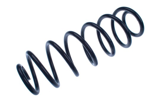 D700110 - ПРУЖИНА ПІДВІСКИ FORD FIESTA VI ЗАДНЯ