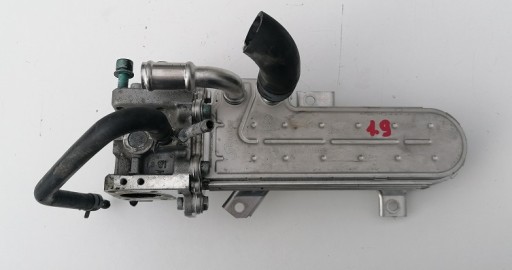 VW GOLF TOURAN ОХОЛОДЖУВАЧ ВИХЛОПНИХ ГАЗІВ EGR KPL 038131513D
