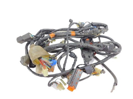 0000030000438 - ЕЛЕКТРОПРОВОДКА ДЖГУТ ПРОВОДІВ HONDA CBF 600 PC38 0