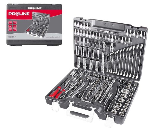 PROLINE набор 217PCS торцевые и плоские ключи