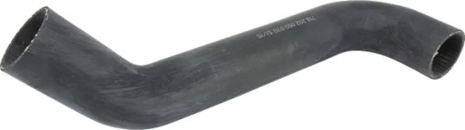 718202050070 - Змея