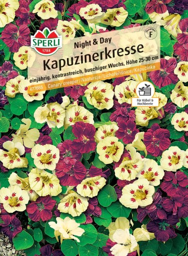 Nasturtium 'Night & Day' Semená PREMIUM Sperli