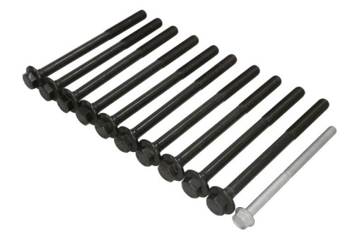 Болти з головкою VICTOR REINZ 14-10030-01