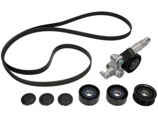 529 0209 - МНОГОРЕМЕННИЙ КОМПЛЕКТ.AUDI A4 2.7TDI -08