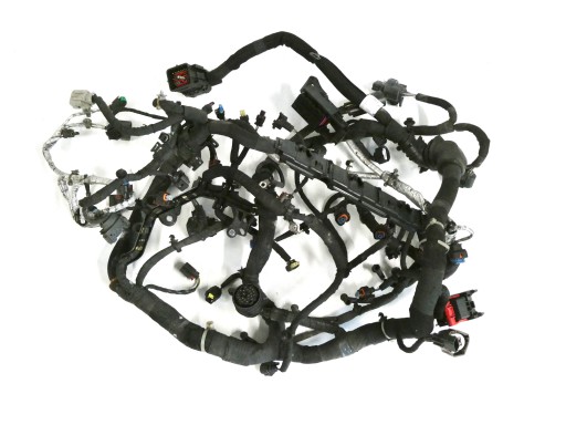 bundle of the engine LAND ROVER DISCOVERY SPORT L550 2.0D 204DTD