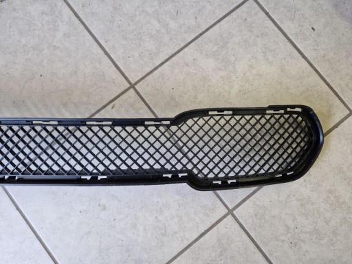 grid of a bumper of the front BMW X1 E84 2009R->