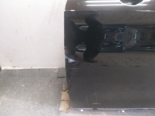 door front left CUPRA FORMENTOR