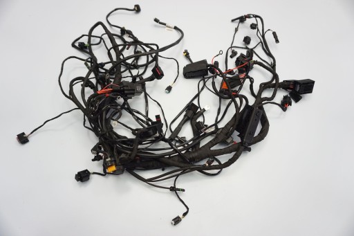 2710060726692608 - BMW F 750 GS 18-МОНТАЖ ГОЛОВНОГО ДЖГУТА ПРОВОДІВ