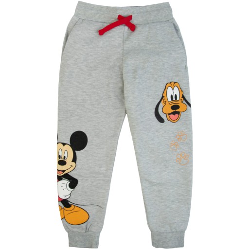 Іноземні спортивні штани 110 сірі