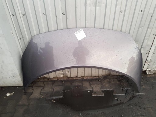 КАПОТ TED69 RENAULT MEGANE SCENIC II