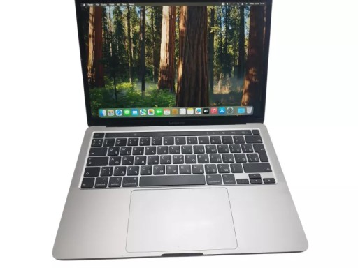 Laptop Apple MacBook Pro 13 2020 13,3 