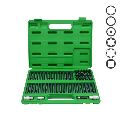НАБОР БИТОВ TORX, ALLEN, SPLINE, RIBE, SQ 60 EL GCAI6003 TOPTUL