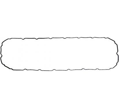 569.490 - ELRING ПРОКЛАДКА КРИШКИ КЛАПАНА IVECO