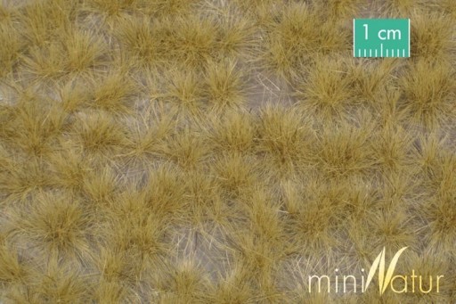 MiniNatur: Tuft - Długa późnojesienna trawa 2 (15x