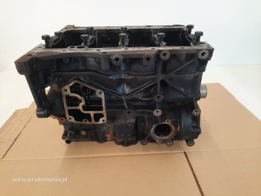 БЛОК ДВИГАТЕЛЯ VOLKSWAGEN PASSAT B6 1.9 TDI 105KM 038021CC BLS
