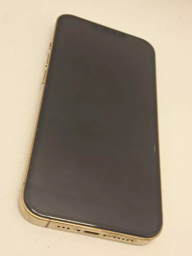 Smartfon Apple iPhone 13 Pro 6 GB / 256 GB 5G złoty • Cena, Opinie