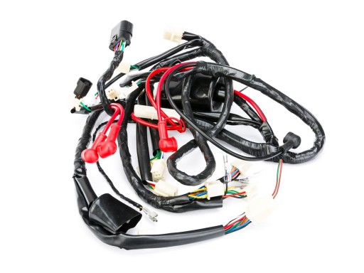 02-32100-AAR8-E800 - Джгут проводів 747/18