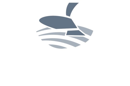 200056648 кронштейн GSW