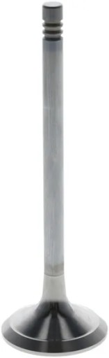 04268373 - Выхлопной клапан