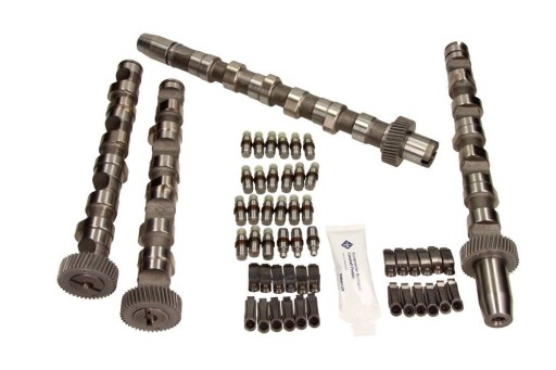 428 0038 - 428003830 / INA КОМПЛЕКТ РОЗПОДІЛЬНОГО ВАЛУ AUDI VW 2.5 TDI