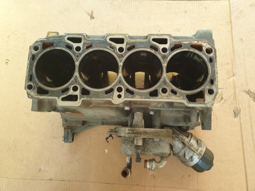 engine BLOK of the engine 2.0 DDIS M. JET SUZUKI SX4 FIAT SEDICI D20AA 55208725