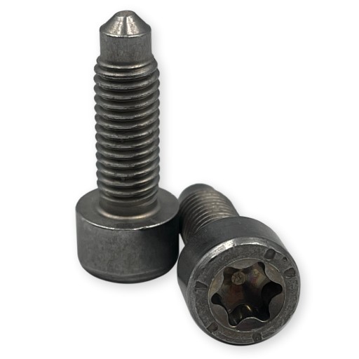 Болт Torx BMW OEM 07129905491 m8x20 комплект. 50 шт.