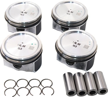 B13576 - Borsehung поршень