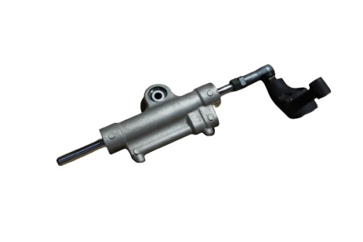 RN12.AMORSKRETU - R1 RN12 04-06 амортизатор повороту + кріплення