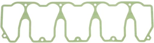 04198796 - Тюлень