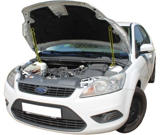 5904619380254 - АМОРТИЗАТОРЫ КАПОТА ПЕРЕДНИЙ FOCUS 2 II POLIFT