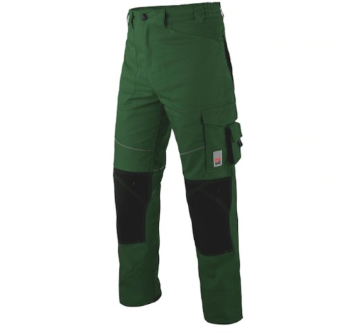 РОБОЧІ ШТАНИ WURTH MODYF STARLINE PLUS GREEN 48