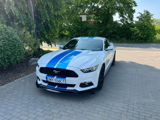 Ford Mustang 50years edition w najbogatszej wersji