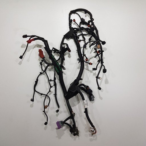 ЖГУТ ПРОВОДОВ NISSAN QASHQAI 1.6 DCI R9M 24011BB50A