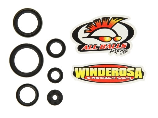 W822269 - WINDEROSA КОМПЛЕКТ ГЕРМЕТИКОВ ДВИГАТЕЛЯ SX250